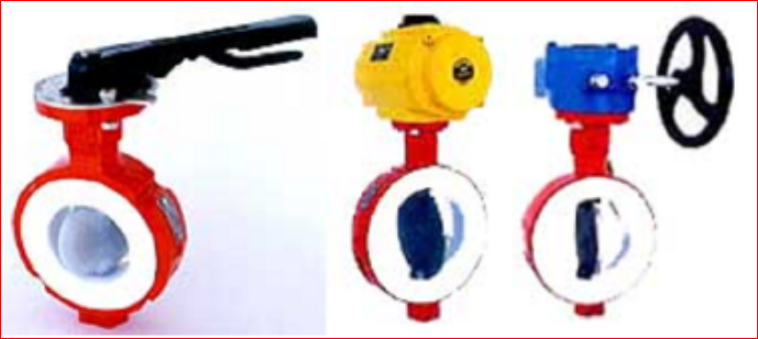 butterflyvalves gk12-chennai